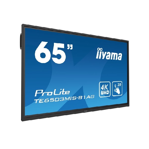 iiyama ProLite TE6503MIS-B1AG